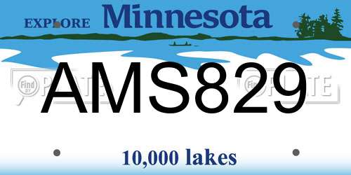 AMS829 Minnesota License Plate