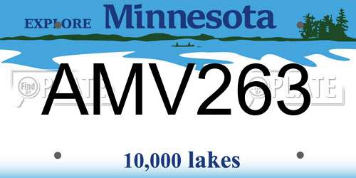 AMV263 Minnesota License Plate
