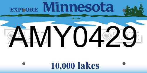 AMY0429 Minnesota License Plate