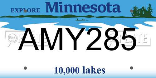 AMY285 Minnesota License Plate