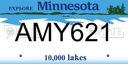 AMY621 Minnesota License Plate