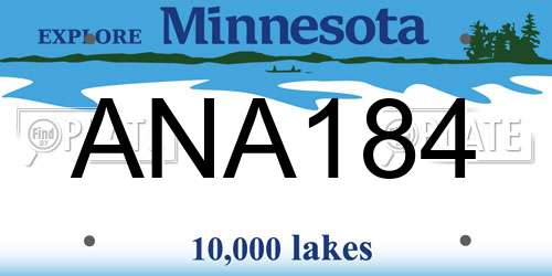 ANA184 Minnesota License Plate