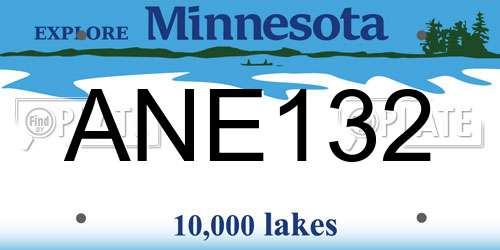 ANE132 Minnesota License Plate