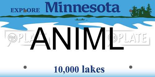 ANIML Minnesota License Plate