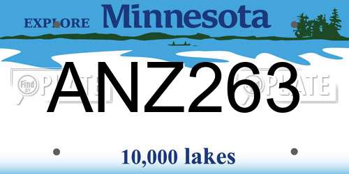 ANZ263 Minnesota License Plate