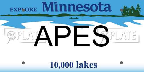 APES Minnesota License Plate