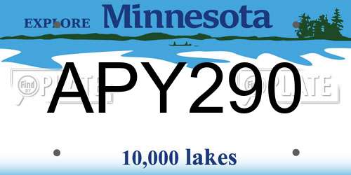 APY290 Minnesota License Plate
