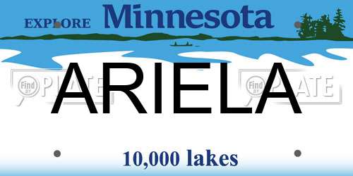 ARIELA Minnesota License Plate