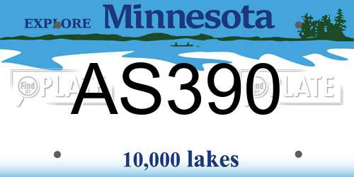 AS390 Minnesota License Plate