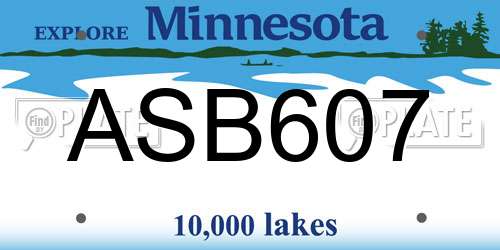 ASB607 Minnesota License Plate