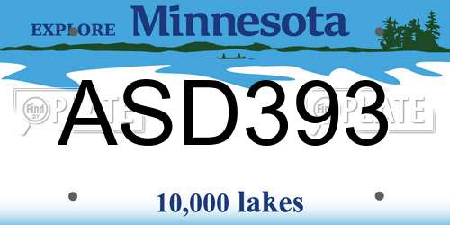 ASD393 Minnesota License Plate