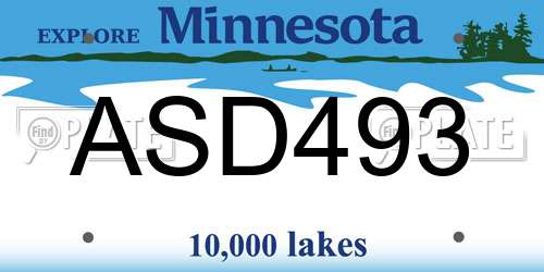 ASD493 Minnesota License Plate