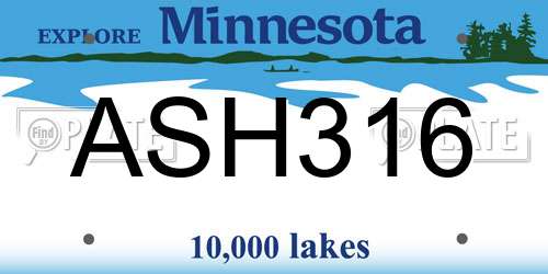 ASH316 Minnesota License Plate