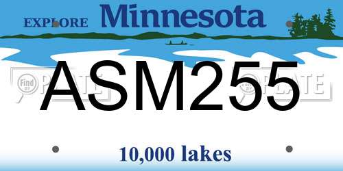 ASM255 Minnesota License Plate