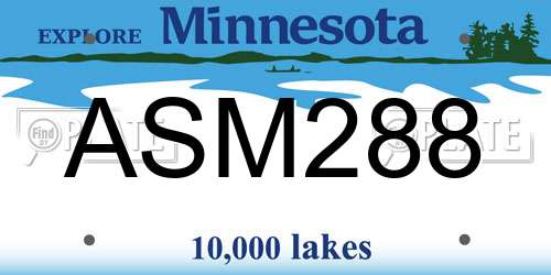 ASM288 Minnesota License Plate