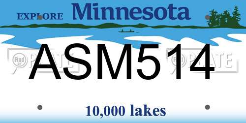 ASM514 Minnesota License Plate