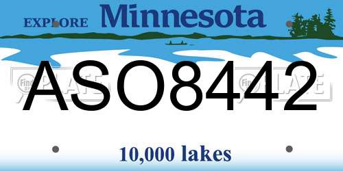 ASO8442 Minnesota License Plate