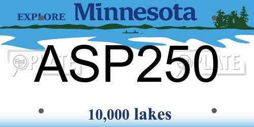 ASP250 Minnesota License Plate