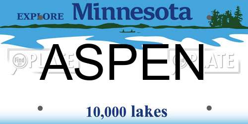 ASPEN Minnesota License Plate