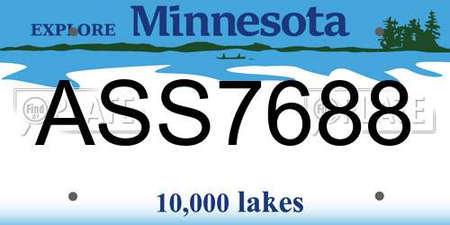 ASS7688 Minnesota License Plate