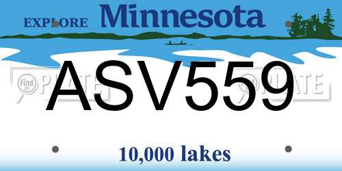 ASV559 Minnesota License Plate