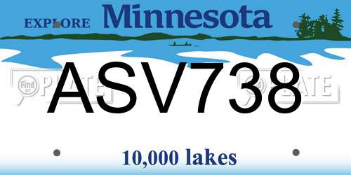 ASV738 Minnesota License Plate