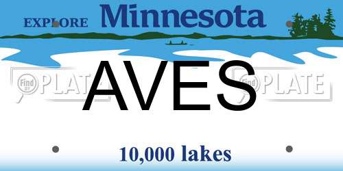 AVES Minnesota License Plate