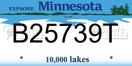 B25739T Minnesota License Plate