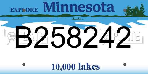 B258242 Minnesota License Plate