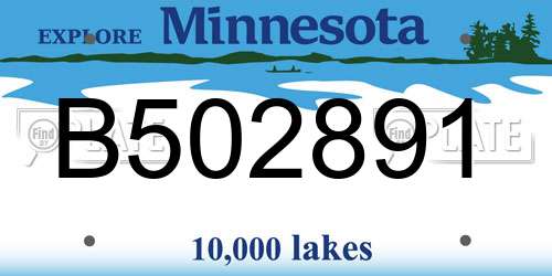 B502891 Minnesota License Plate