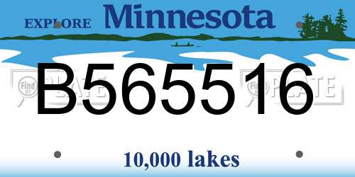 B565516 Minnesota License Plate