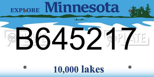B645217 Minnesota License Plate