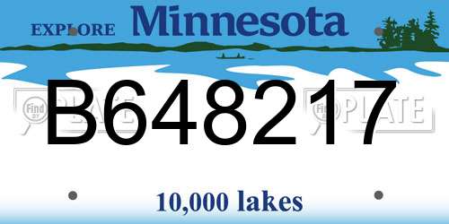 B648217 Minnesota License Plate