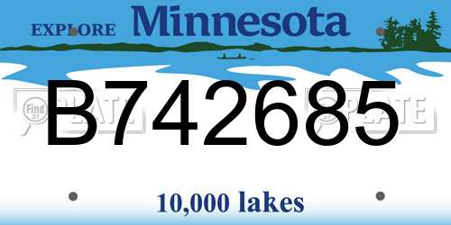 B742685 Minnesota License Plate