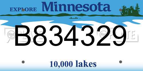 B834329 Minnesota License Plate