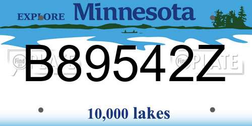 B89542Z Minnesota License Plate