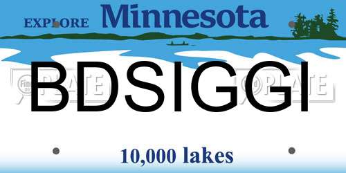 BDSIGGI Minnesota License Plate