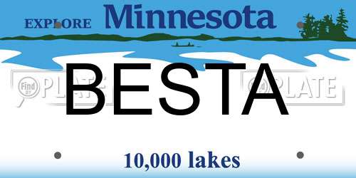 BESTA Minnesota License Plate