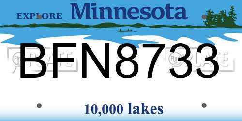 BFN8733 Minnesota License Plate