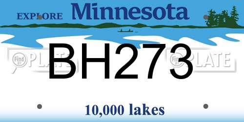 BH273 Minnesota License Plate