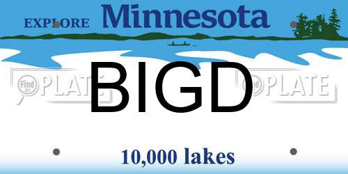 BIGD Minnesota License Plate