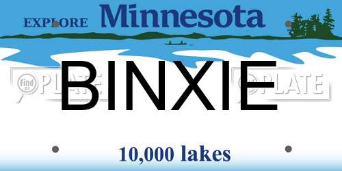 BINXIE Minnesota License Plate