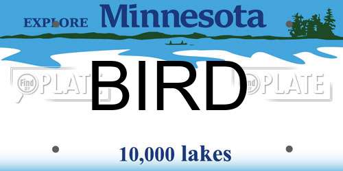 BIRD Minnesota License Plate