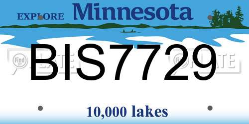 BIS7729 Minnesota License Plate