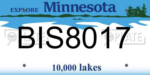 BIS8017 Minnesota License Plate