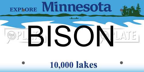 BISON Minnesota License Plate