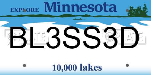 BL3SS3D Minnesota License Plate