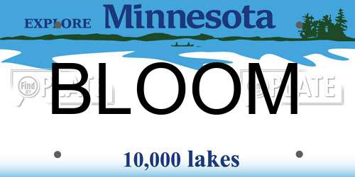 BLOOM Minnesota License Plate