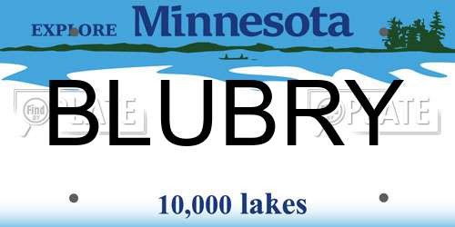 BLUBRY Minnesota License Plate