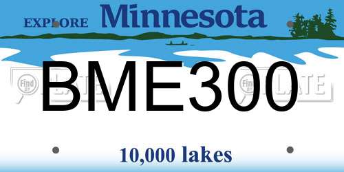 BME300 Minnesota License Plate